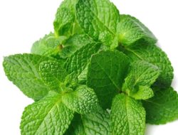 Mint Leaves Do Miracles on Your Face