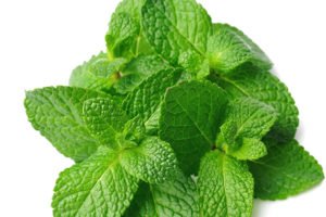 Mint leaves