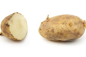 Potato