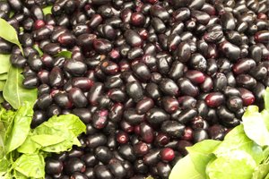 Jamun Black Plum