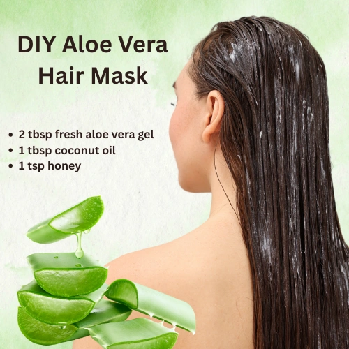 Aloe Vera for Hair